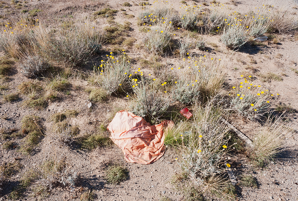Orange Cloth in the Desert (1).jpg