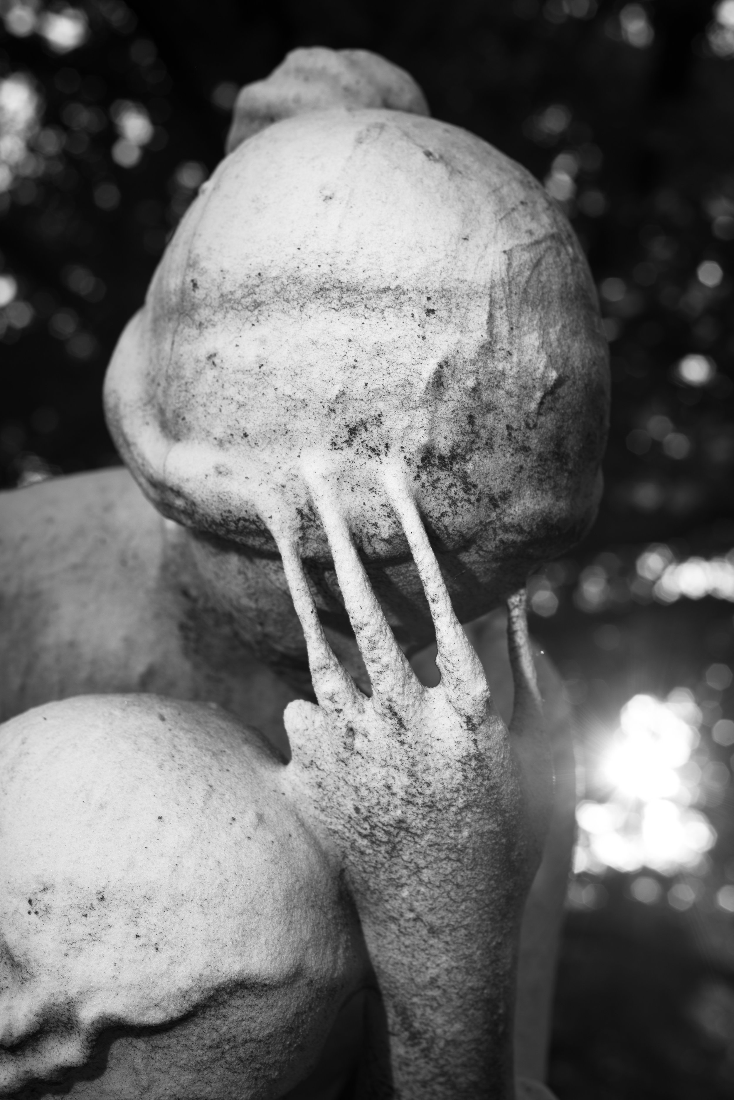 Muse_untitled_-19.JPG