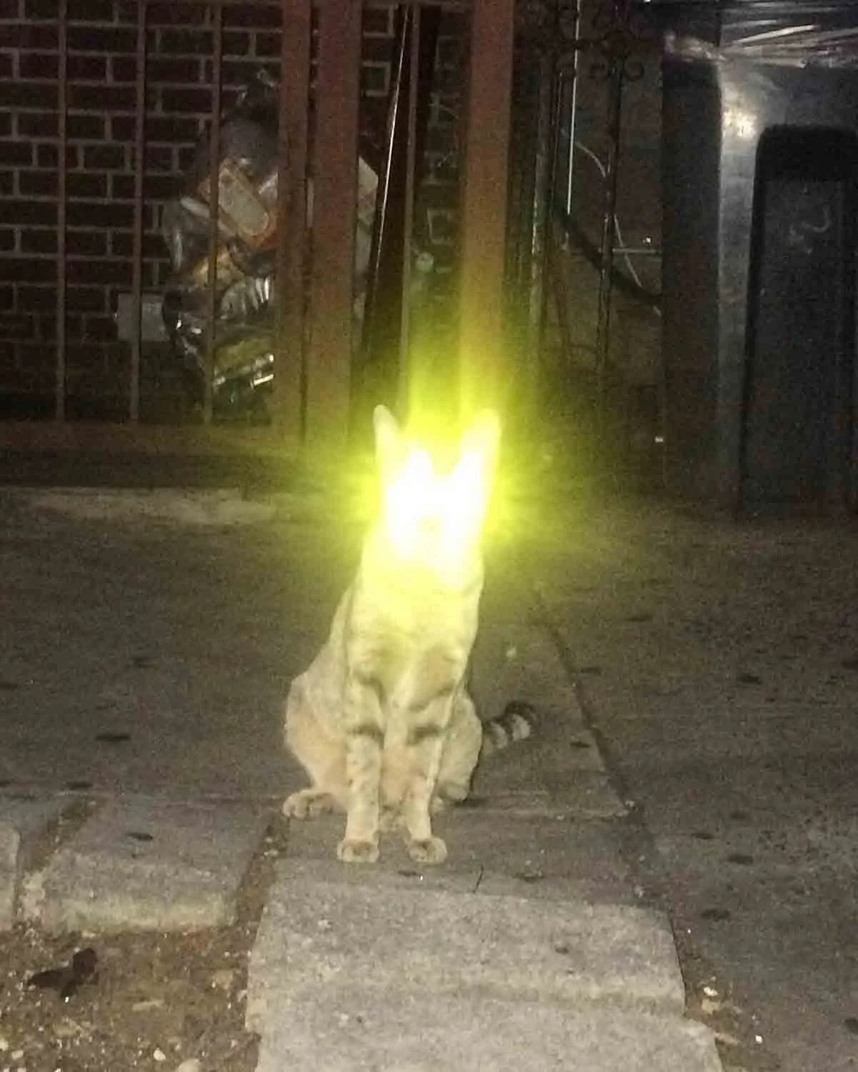 igjpeg-14.jpg