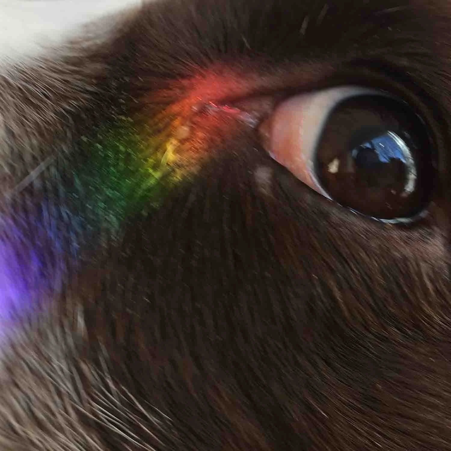 igjpeg-24.jpg