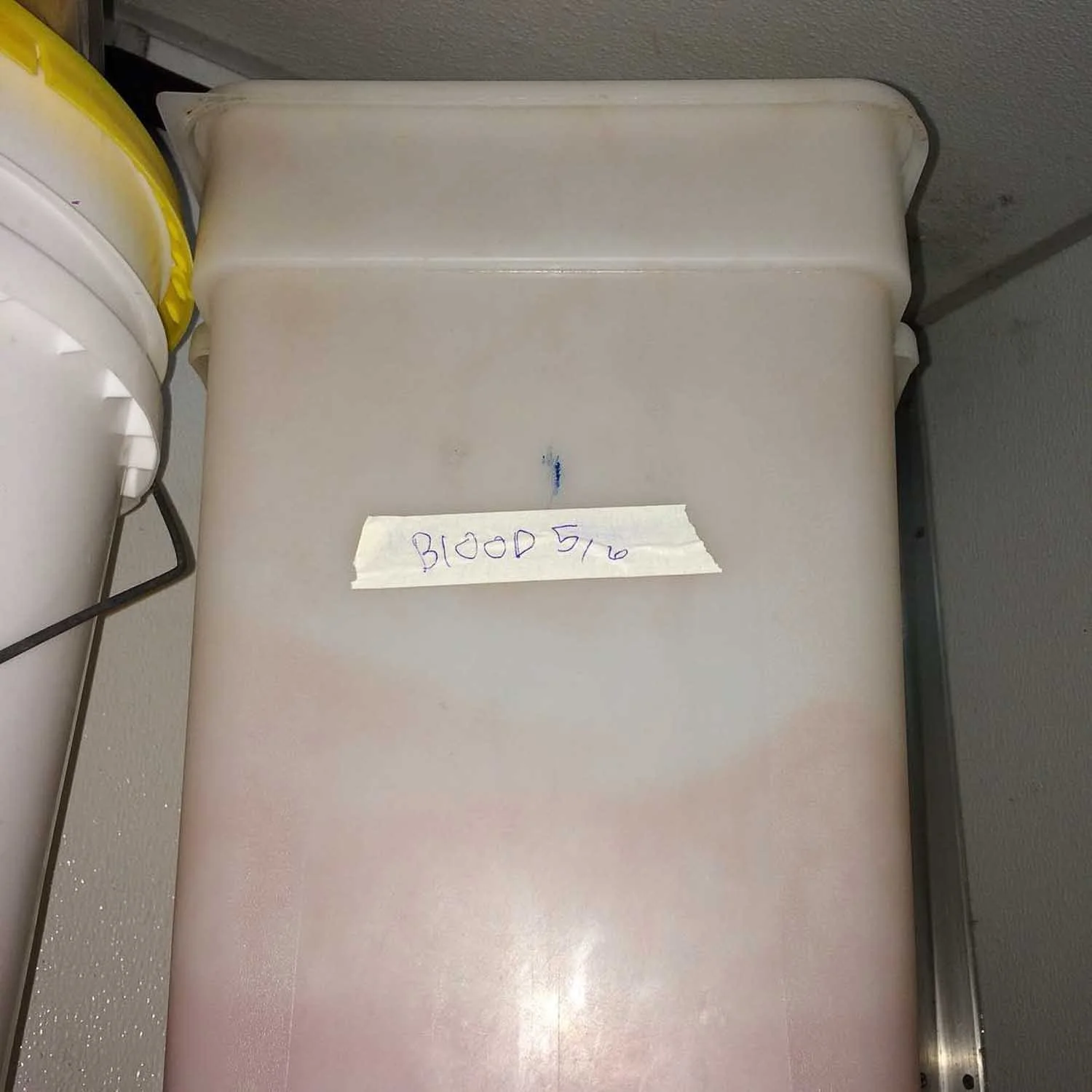 igjpeg-46.jpg