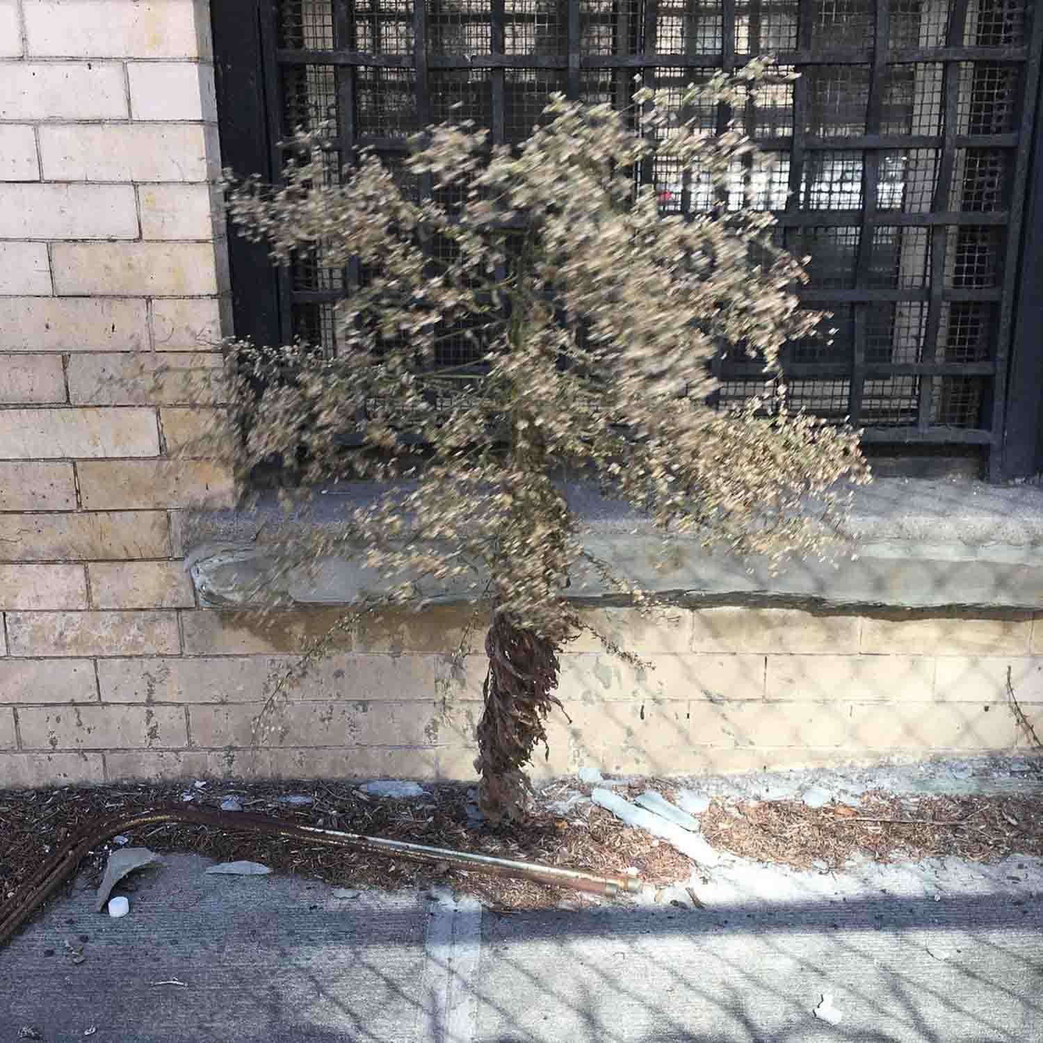 igjpeg-63.jpg