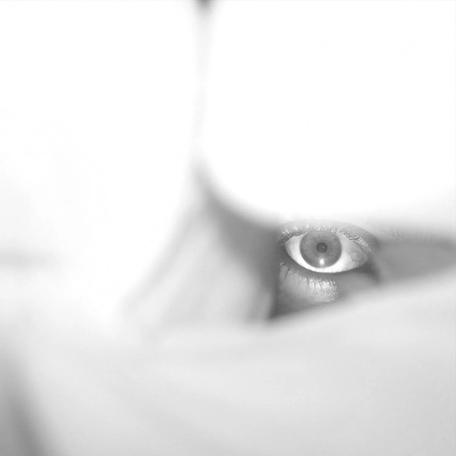 igjpeg-121.jpg