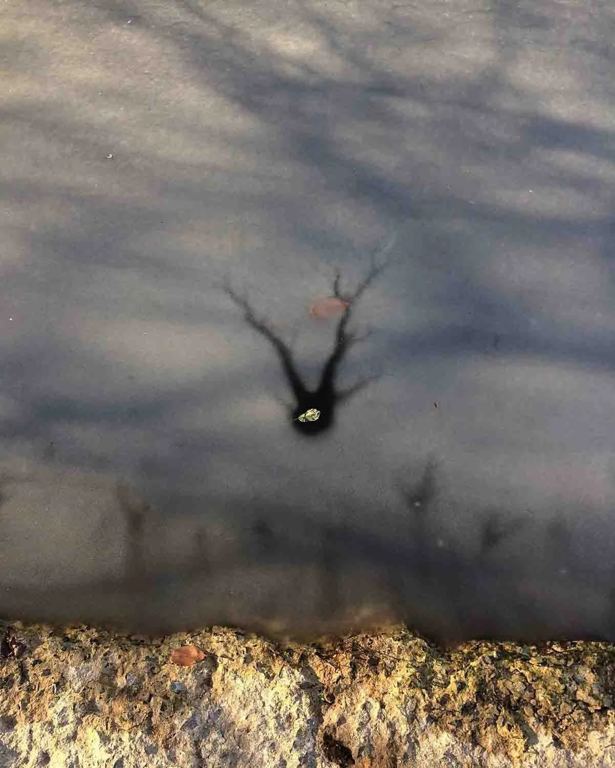 igjpeg-210.jpg