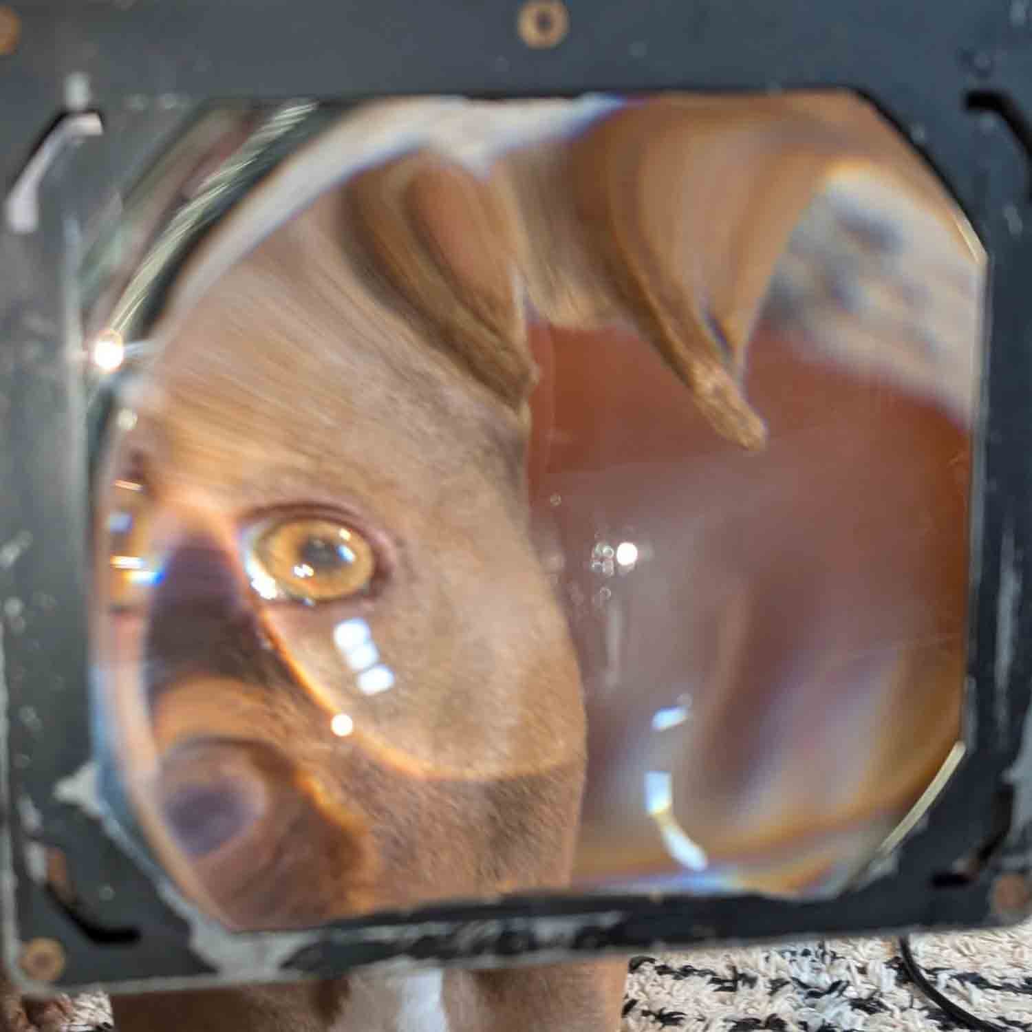 igjpeg-226.jpg