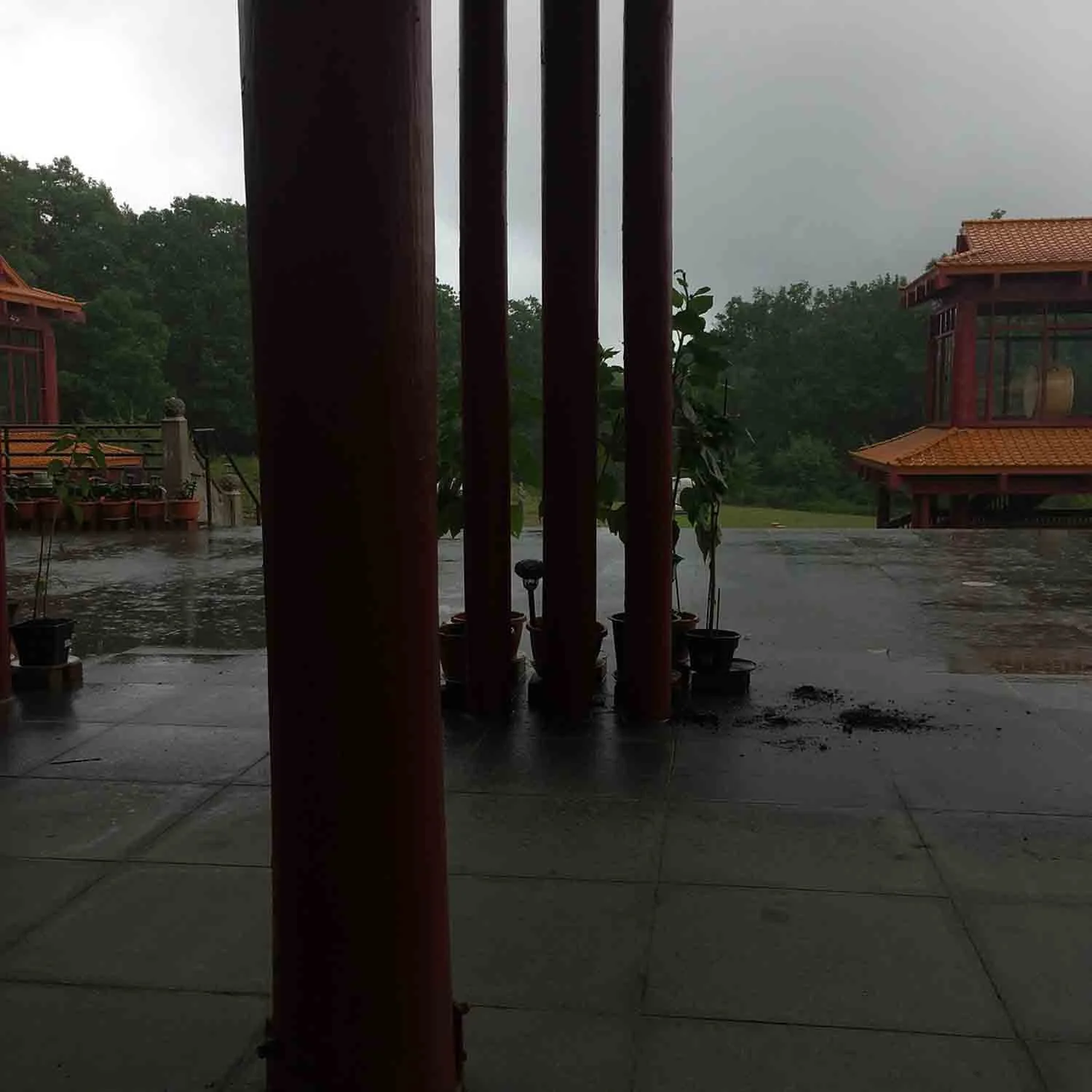 igjpeg-281.jpg