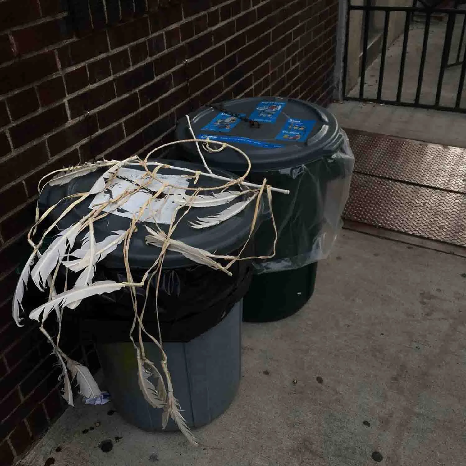 igjpeg-298.jpg
