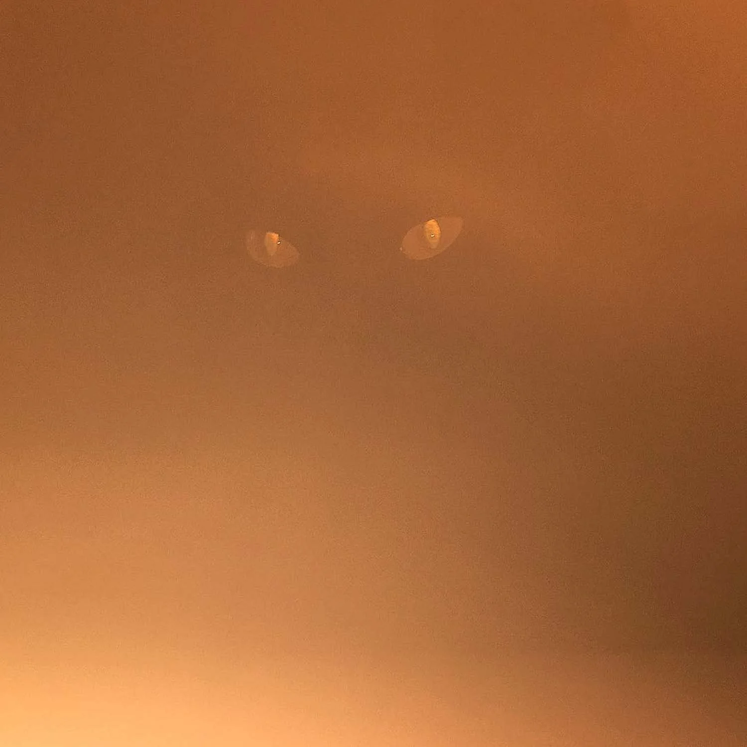 igjpeg-302.jpg