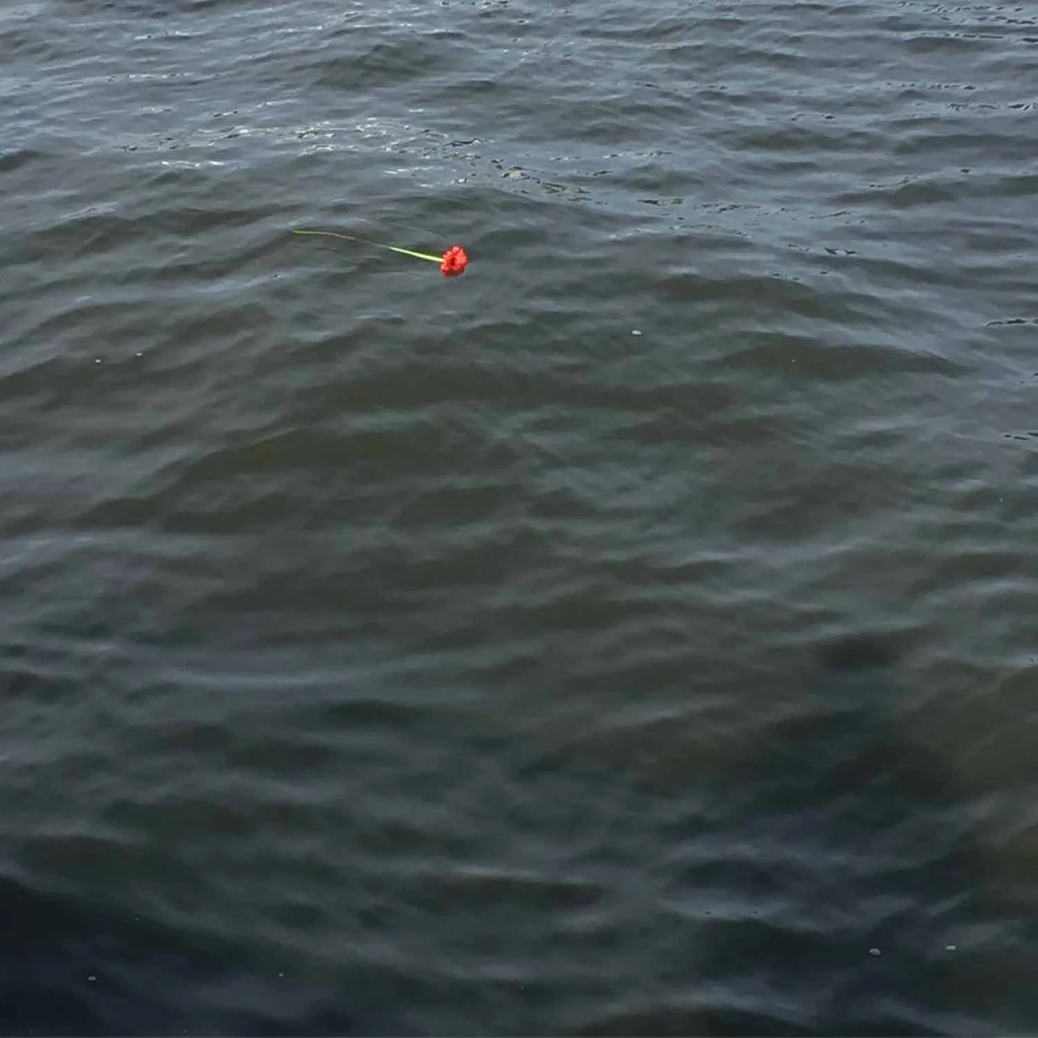 igjpeg-311.jpg