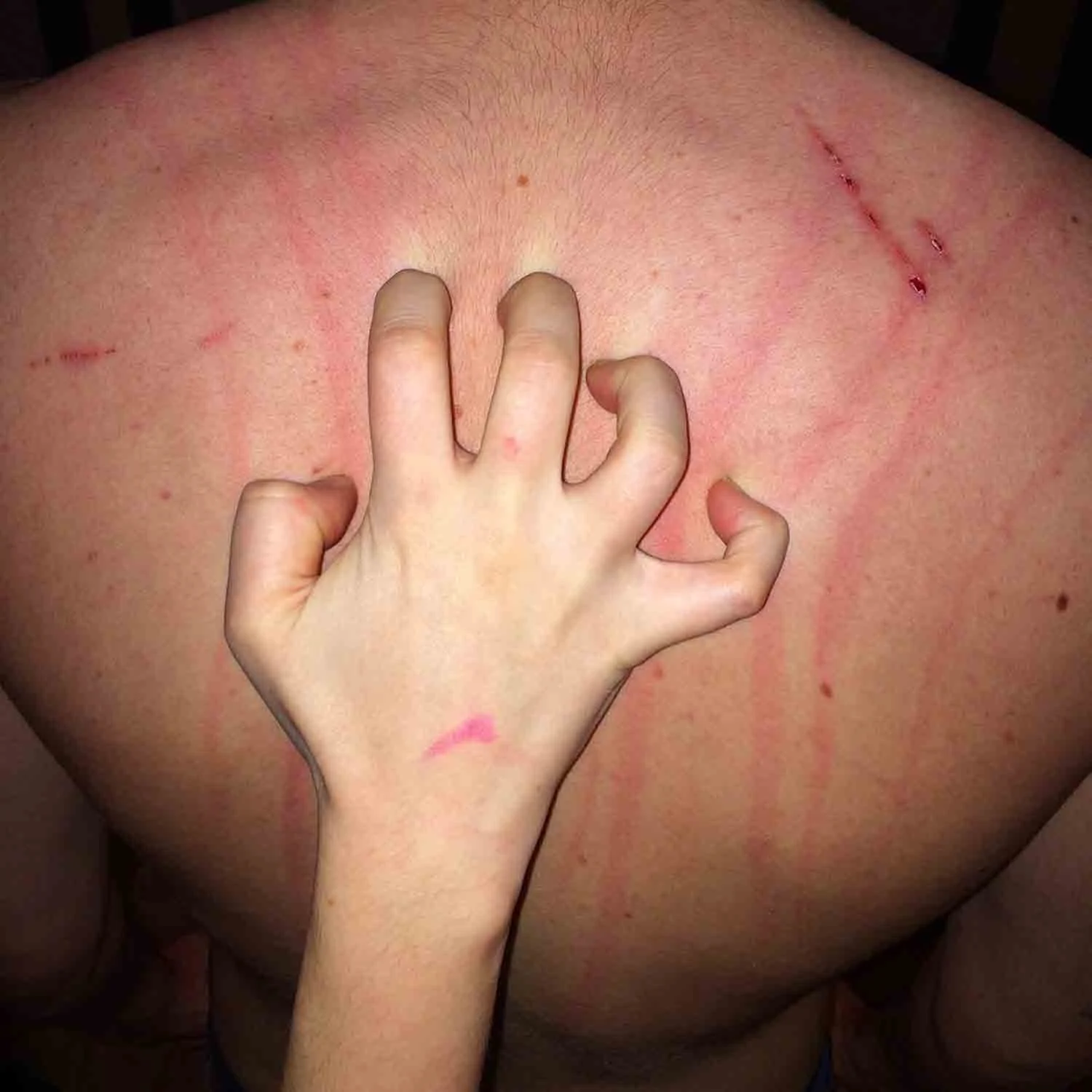 igjpeg-329.jpg