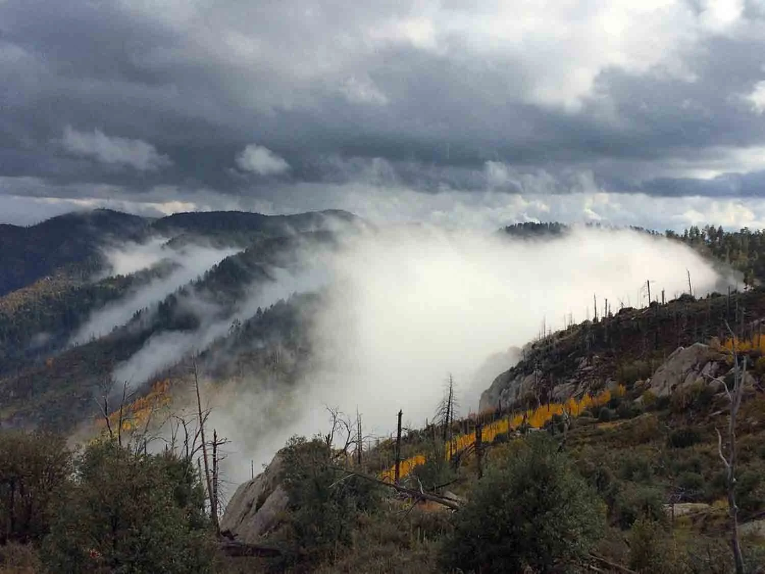 igjpeg-331.jpg