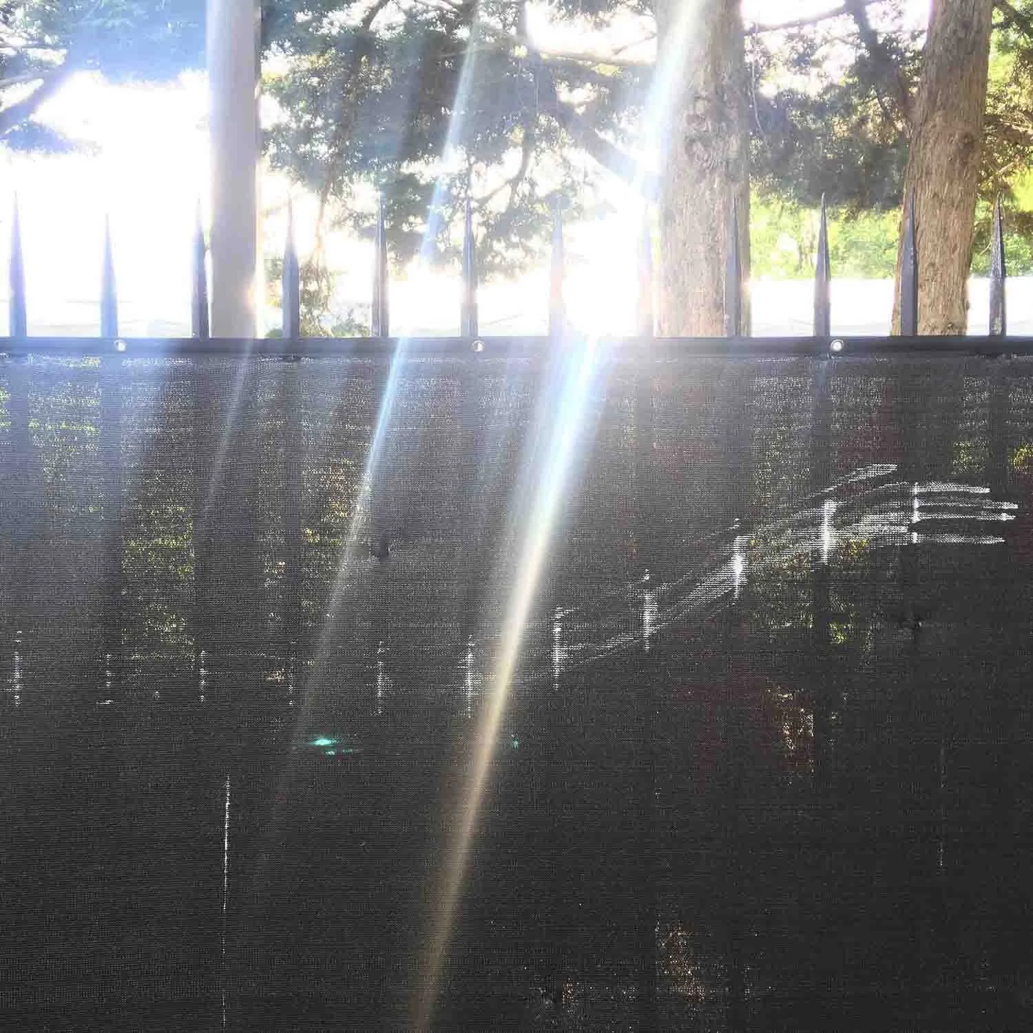 igjpeg-368.jpg