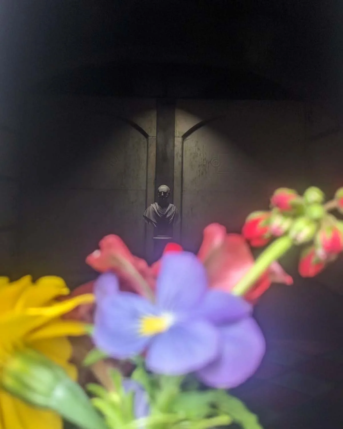 igjpeg-393.jpg