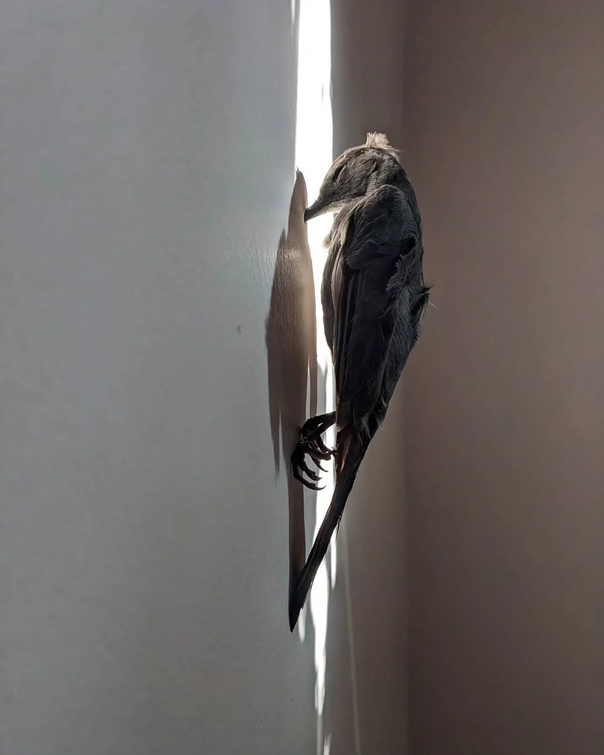 igjpeg-402.jpg