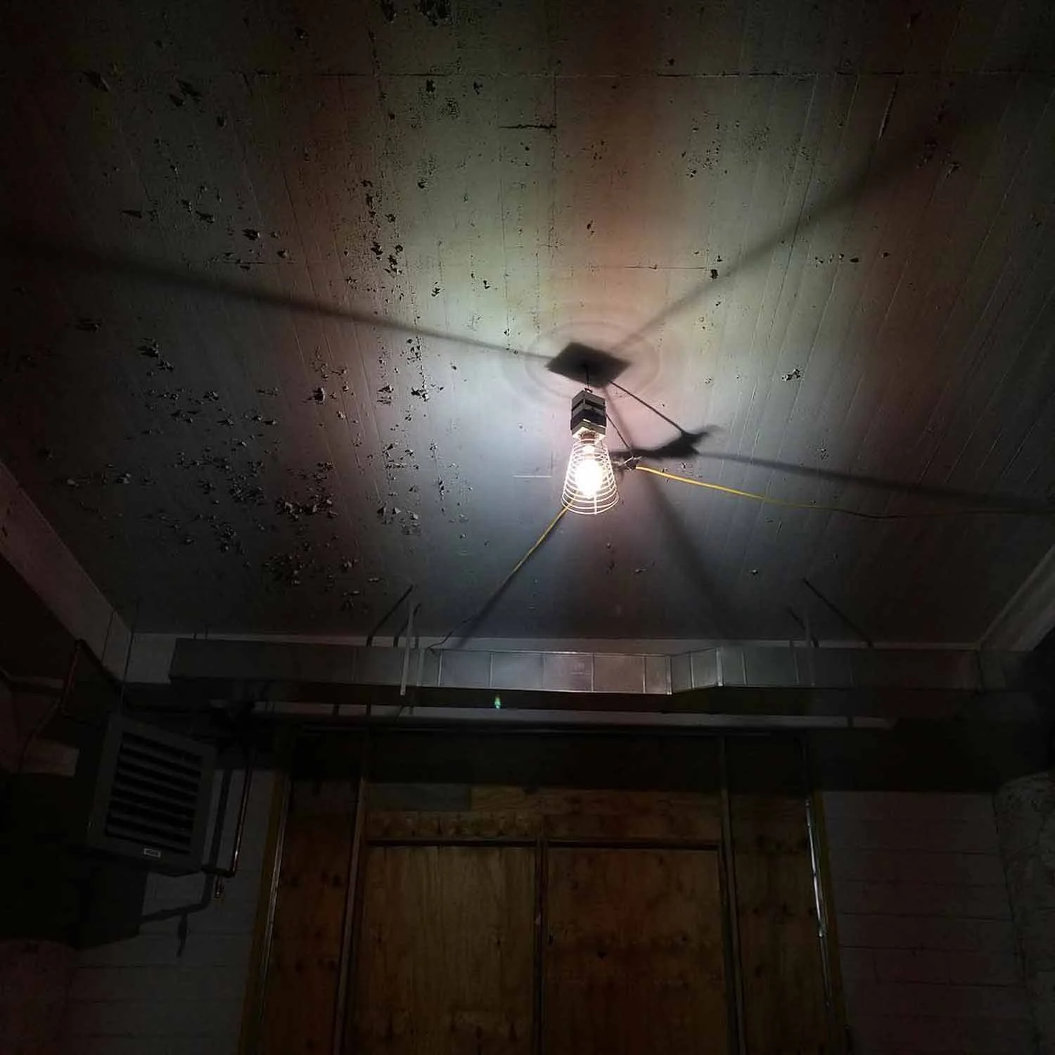 igjpeg-403.jpg