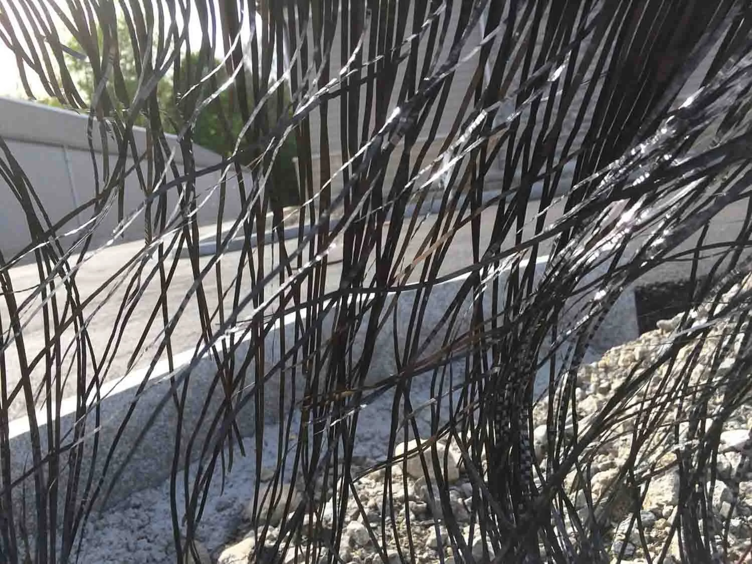 igjpeg-421.jpg