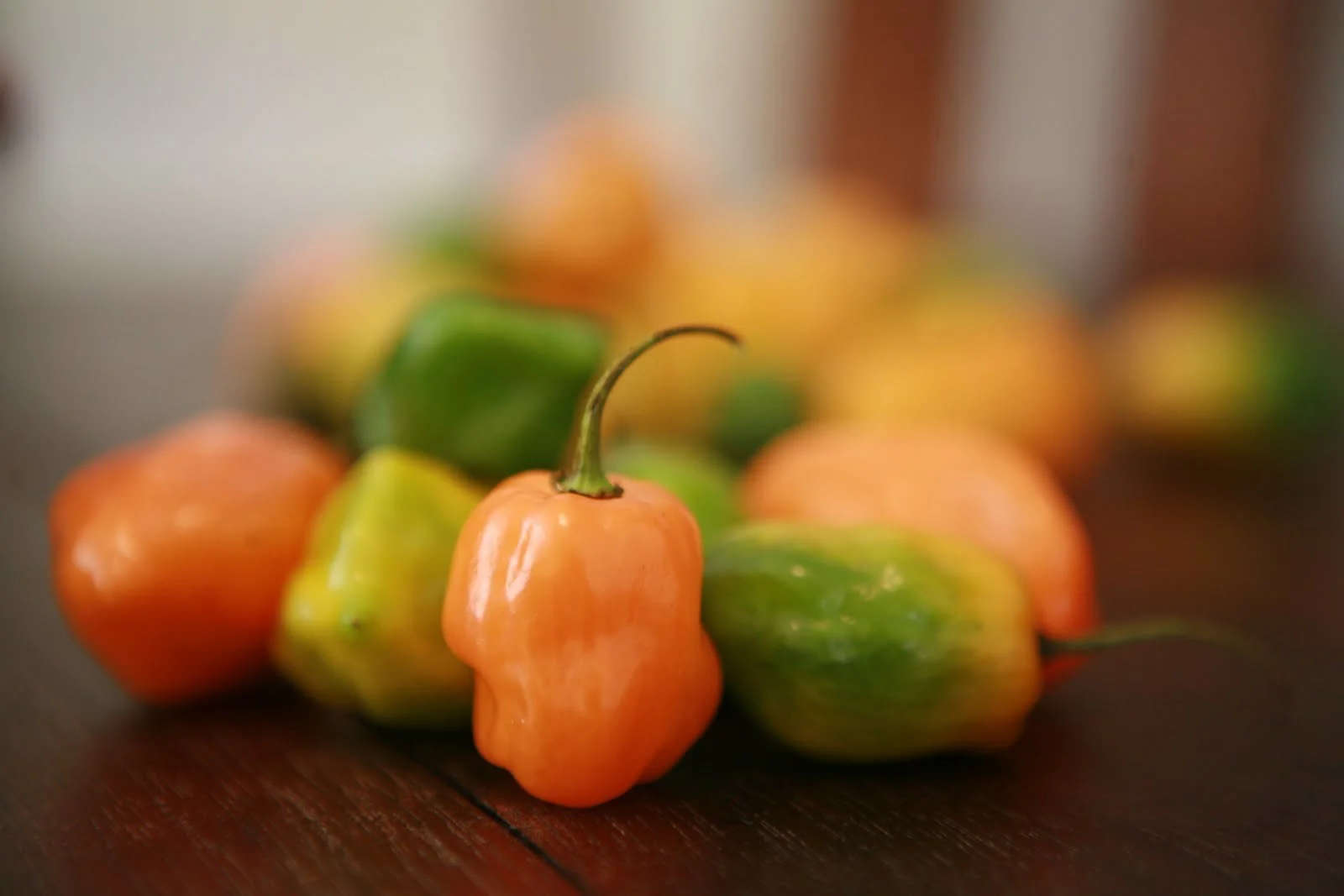 habanero.JPG