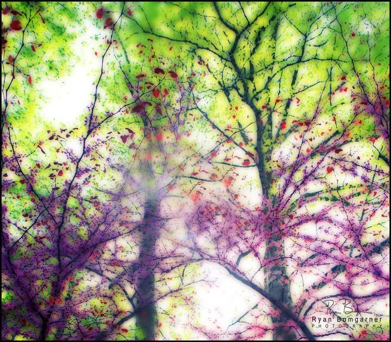 Spring_Glow.jpg