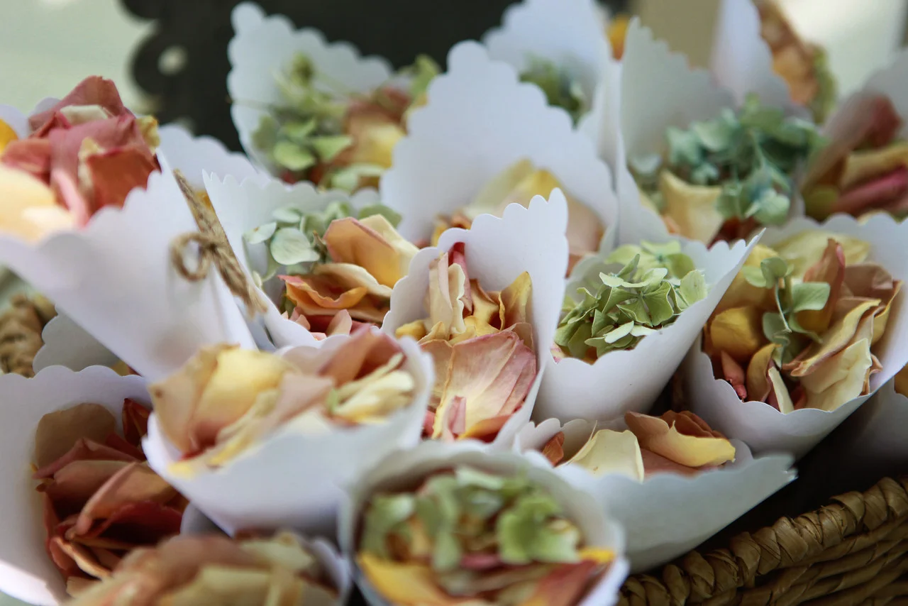 Mountain-Magnolia-Inn-Wedding (23).jpg