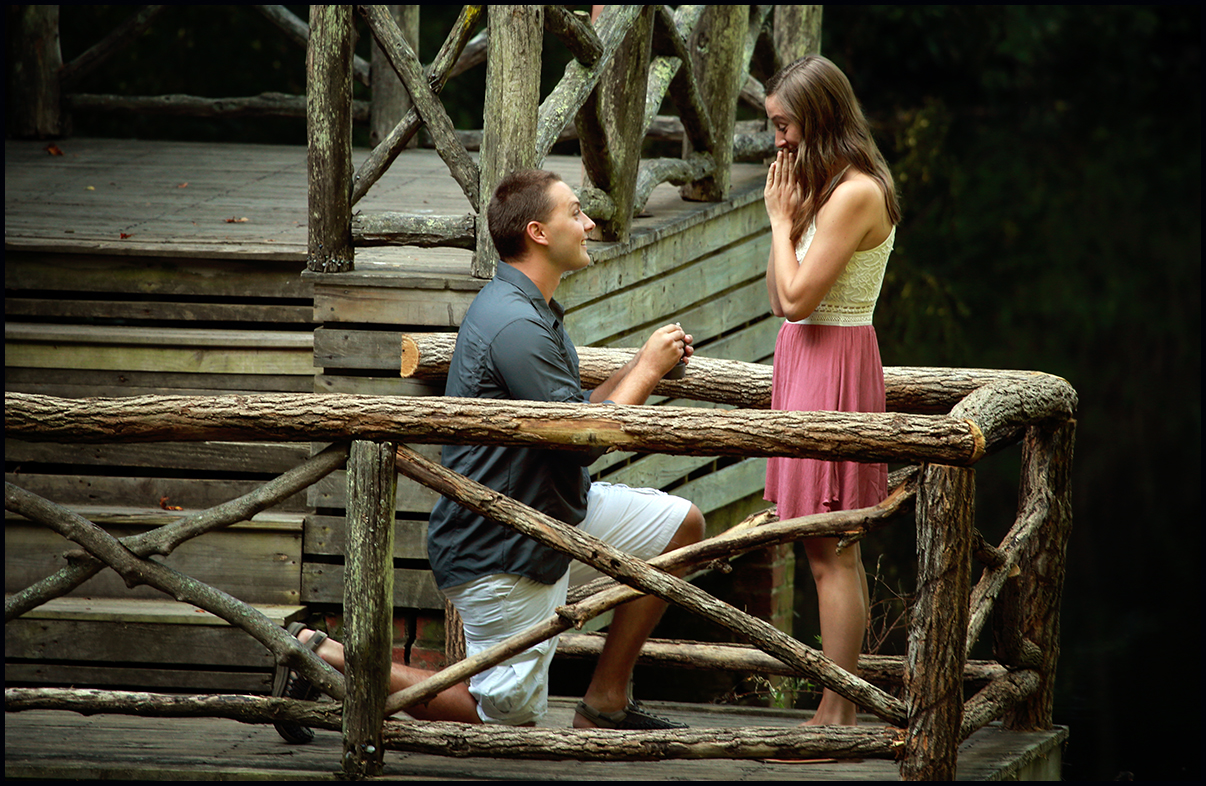 biltmore-proposal-6.jpg