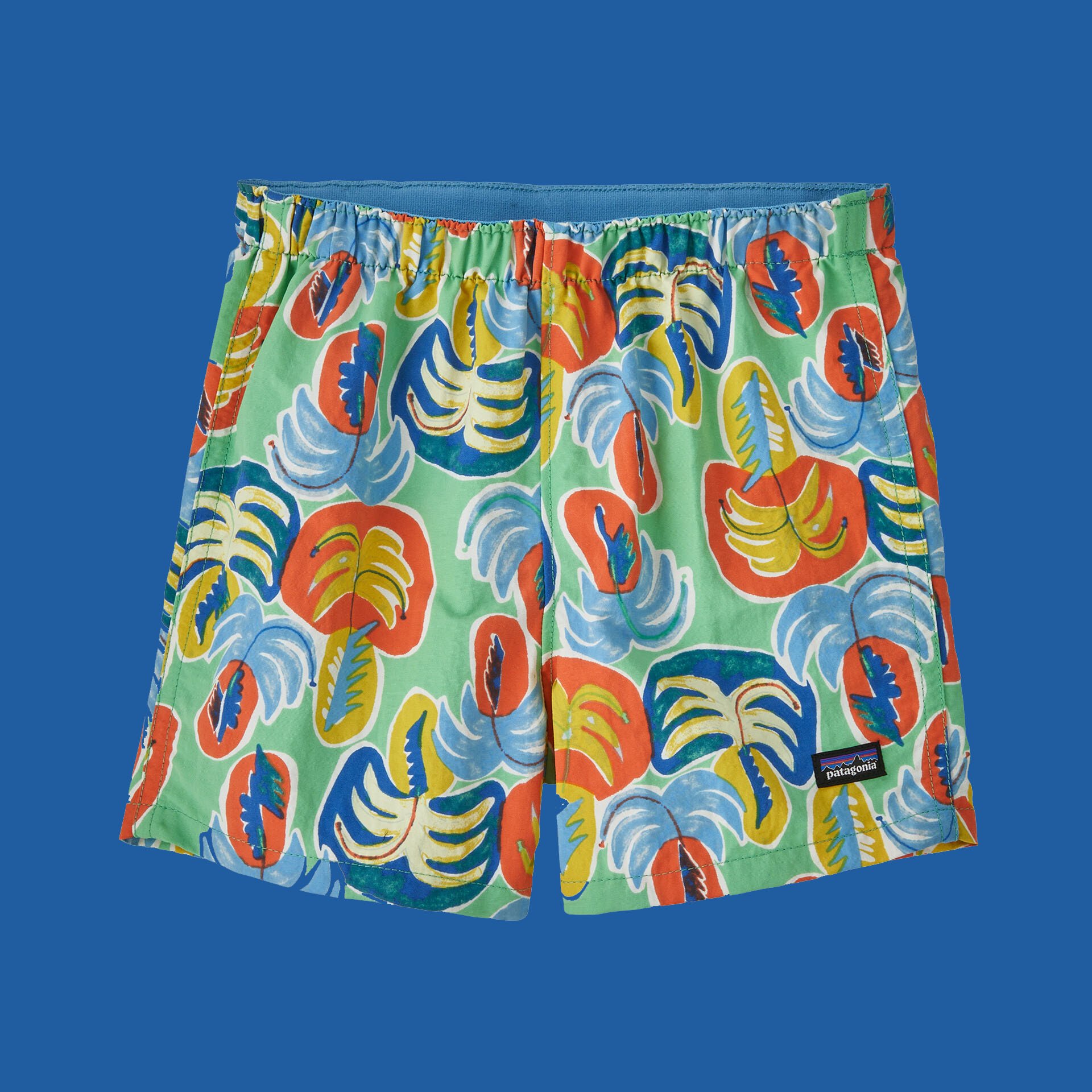 Palms Baggie.jpg