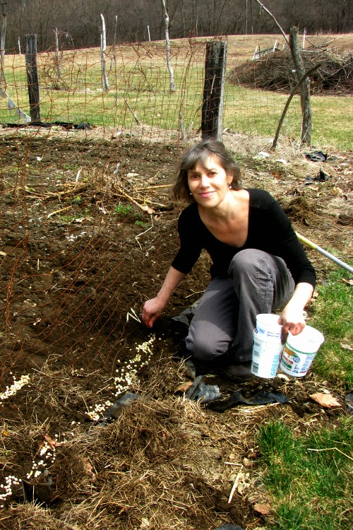 Maggie Planting Peas