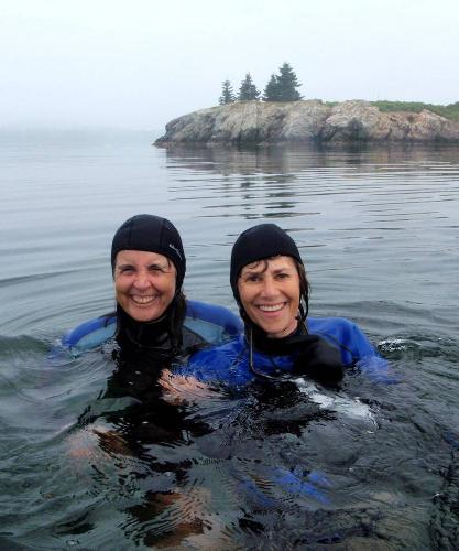 Swimming with the Seals