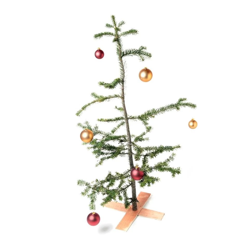 Sad Tree.jpg