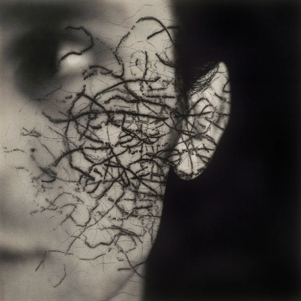 Ann Barnard | Untitled , 1998