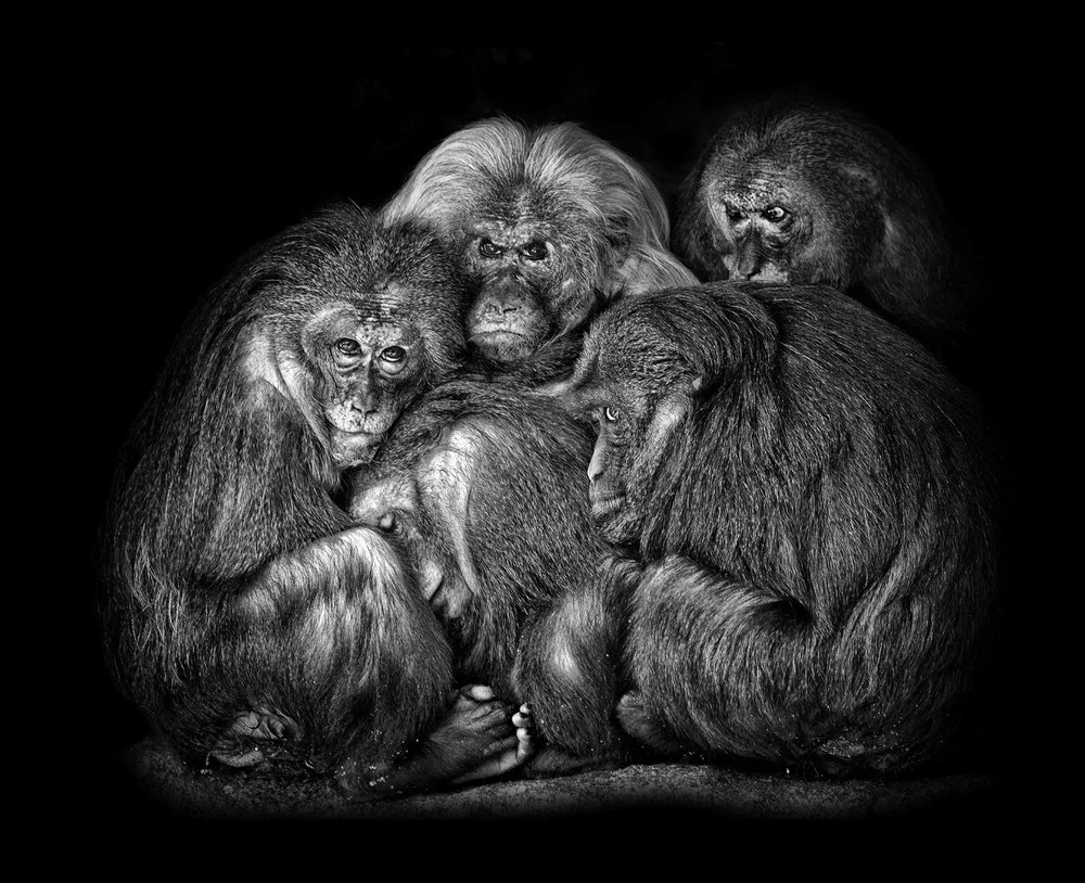 © Pawet Bogumit