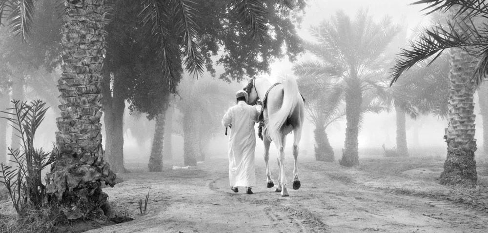 © Beatriz Alonso