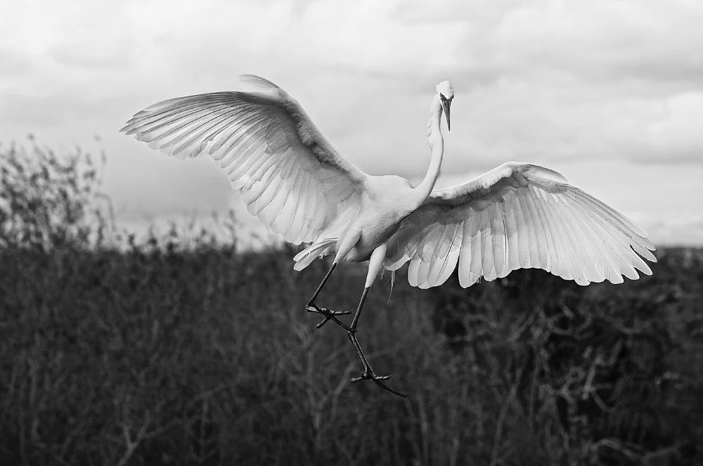 © Danielle Austen 