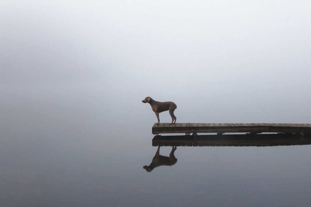 © Katie Felton-Moore NFS