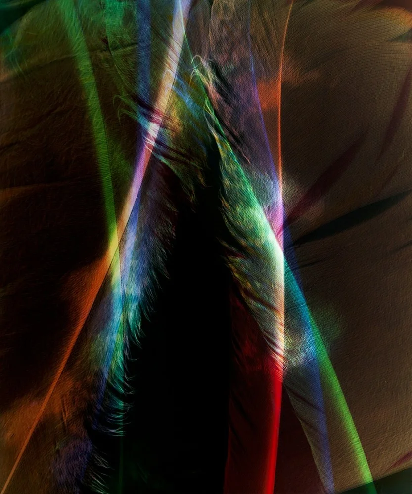 © Rebecca Najdowski NFS