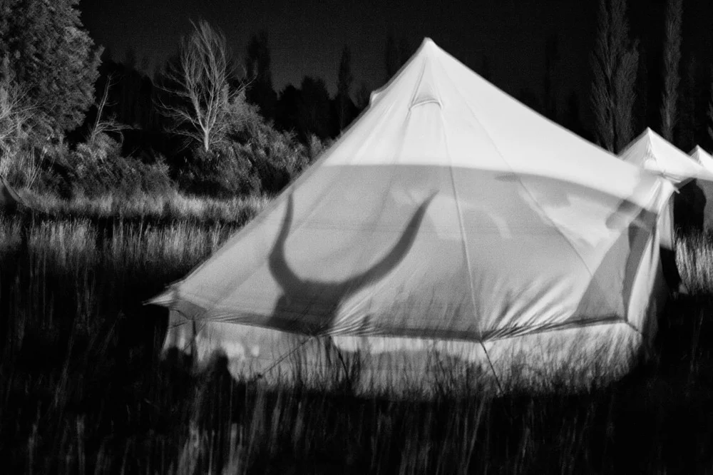 © Francesca Todde $800.00 