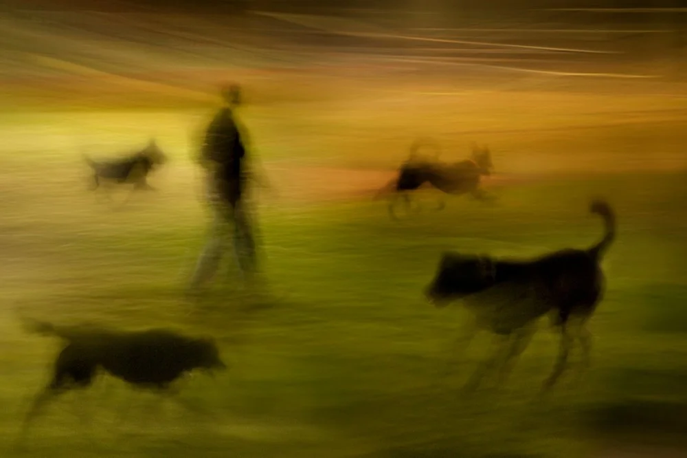 © Susan Bein