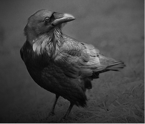  © Beth Moon