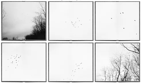 © Paula McCartney Alight, 2005
