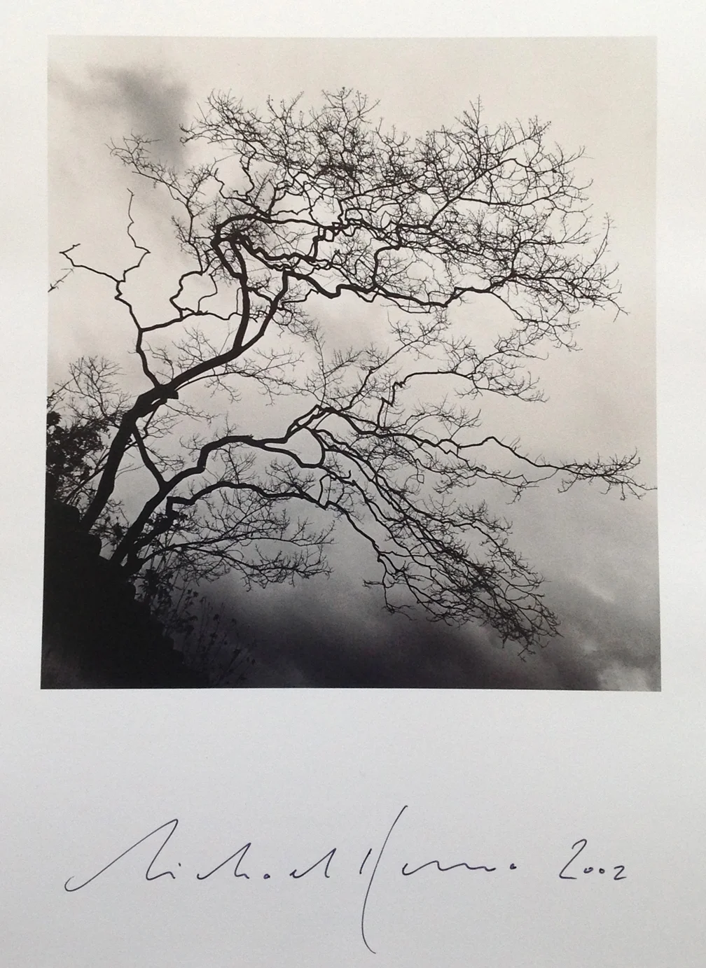 © Michael Kenna, Temple Trees