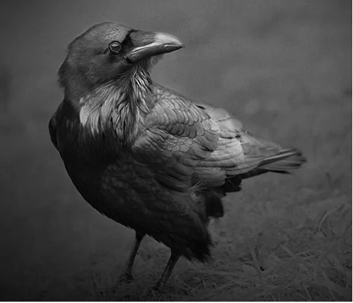 ©Beth Moon 
