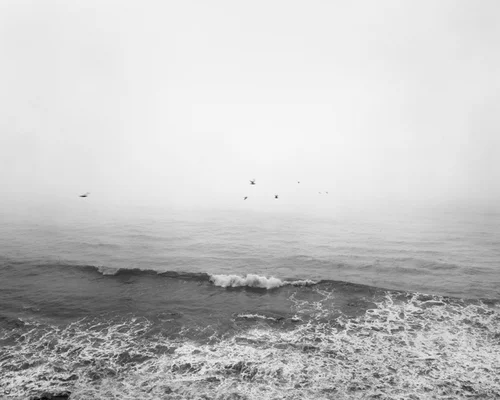 BarbaraBosworth Print3 BirdsFlyingOverSurf.jpg
