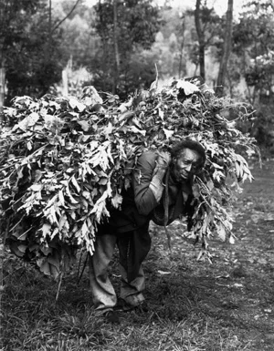 LonnieGraham Print1 - Man with Food for Cow.jpg