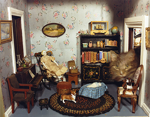 Sage Sohier, Cat in dollhouse, Sandwich, NH, 2004 — PhotoAlliance