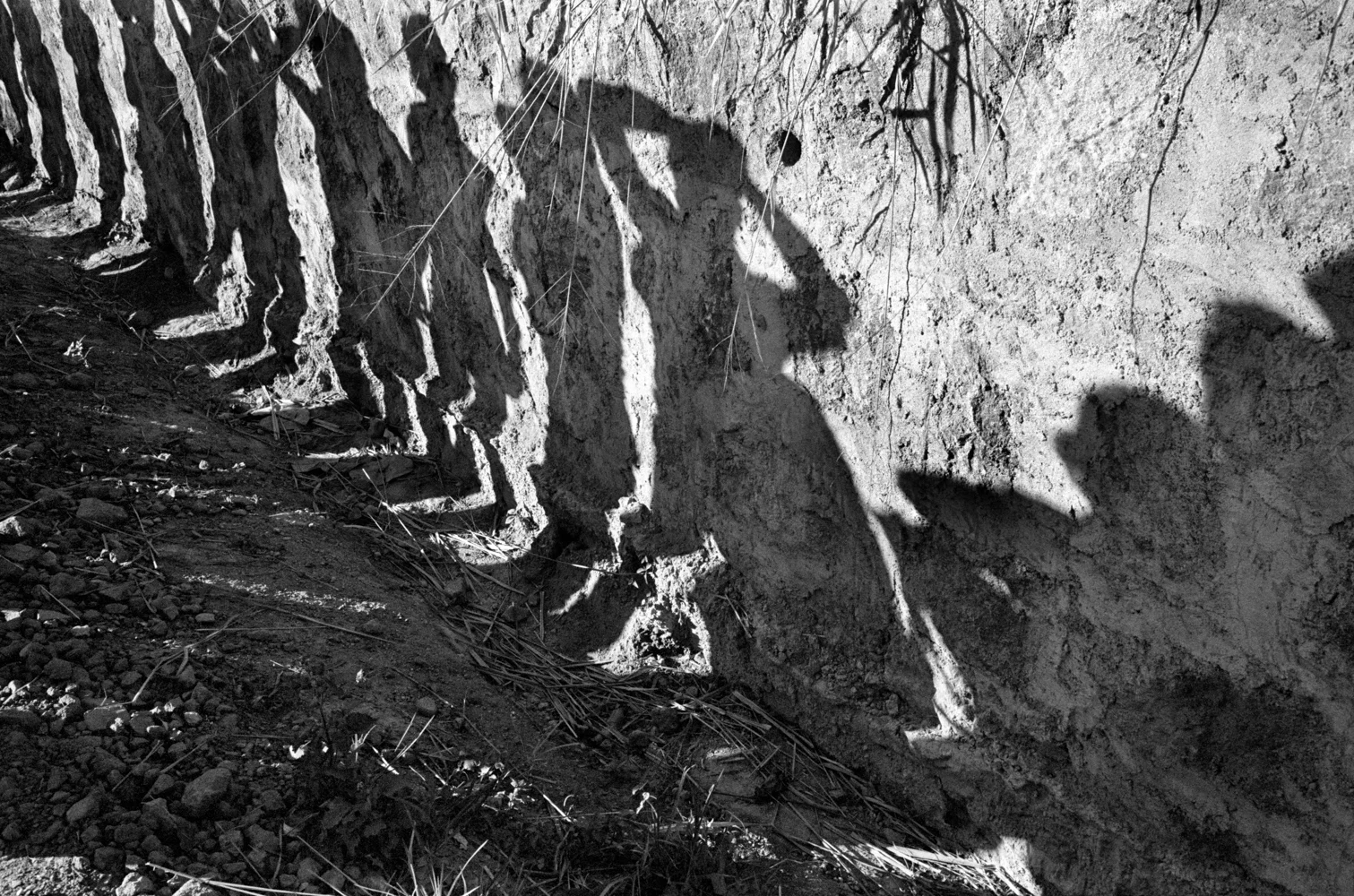© Susan Meiselas Soldiers search bus passengers along the Northern Highway, El Salvador, 1980