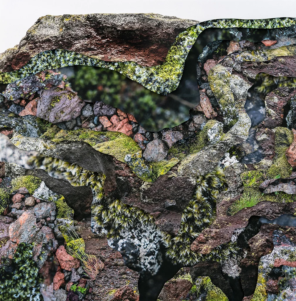 © Charlotta María Hauksdóttir Topography Study XXII