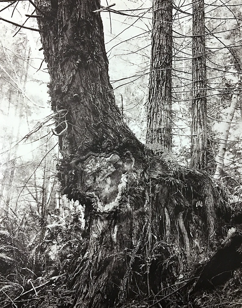 © Kirk Crippens & Gretchen LeMaistre