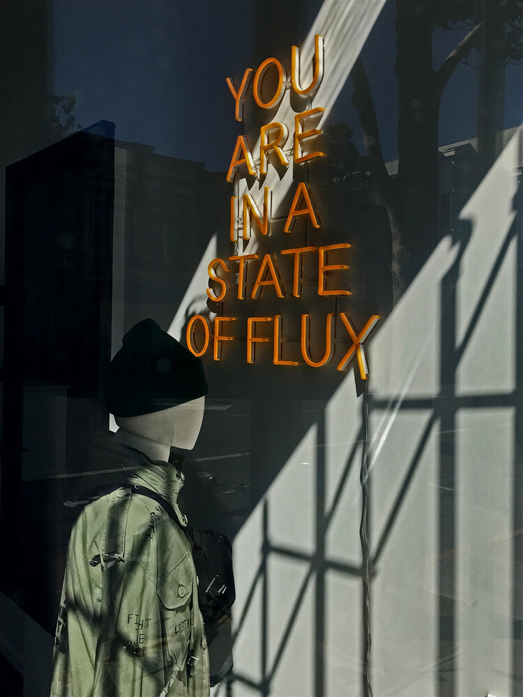 Flux (In the Shadow of Corona).jpg