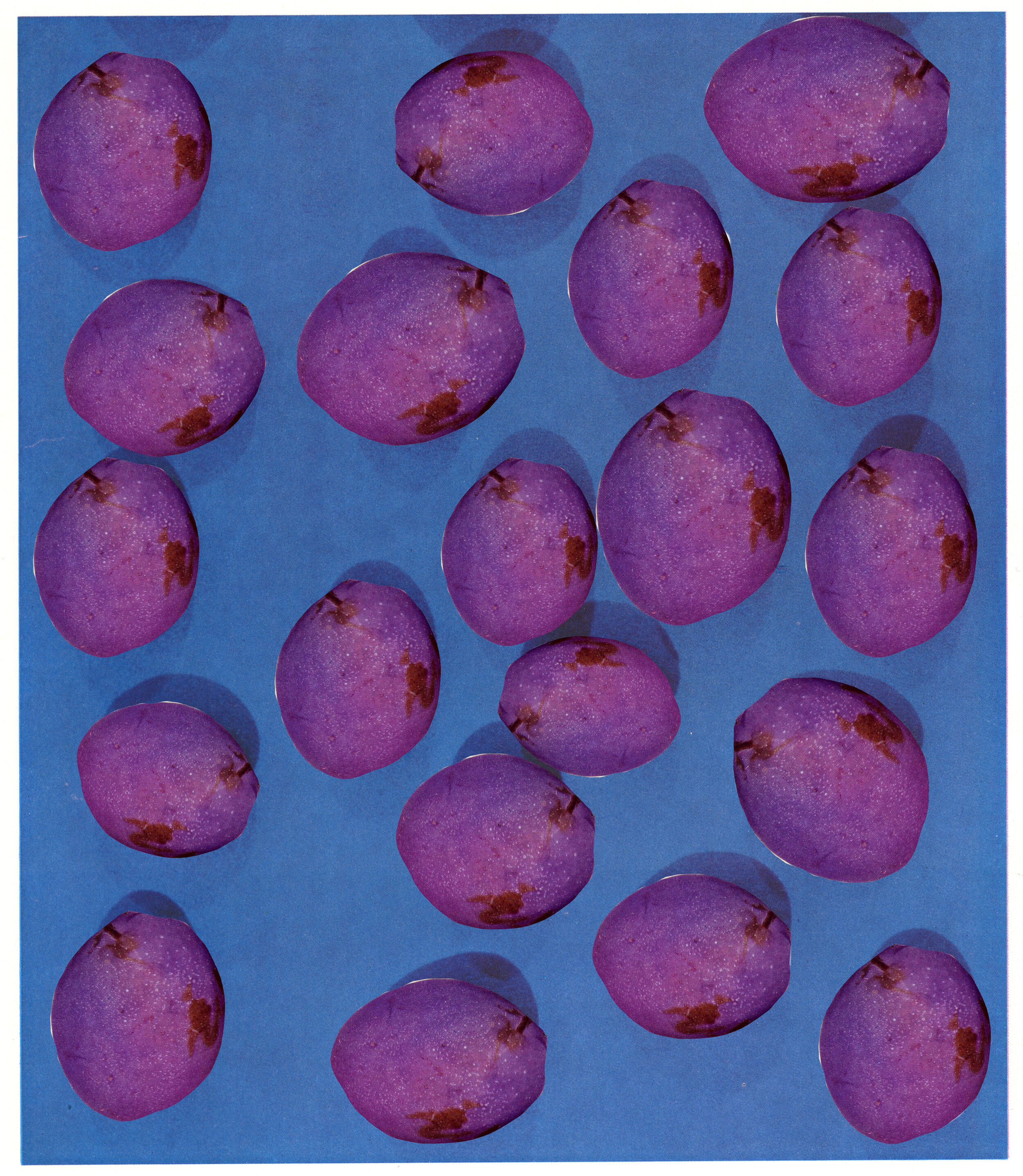 Everbearing Varieties, Fine art inkjet-print, 2020