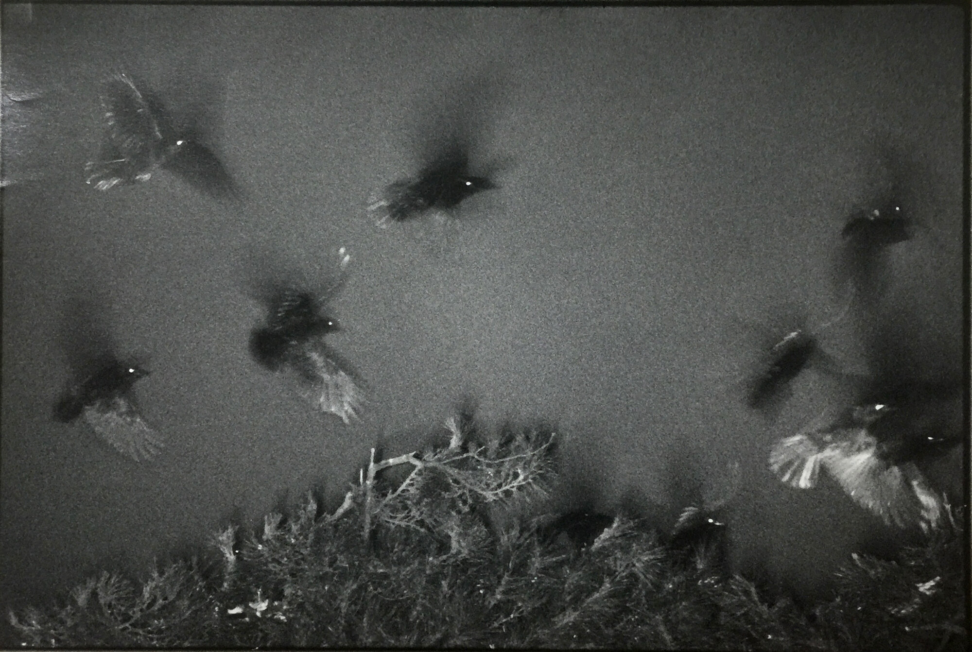 Kanazawa, from the Solitude of Ravens, 1977