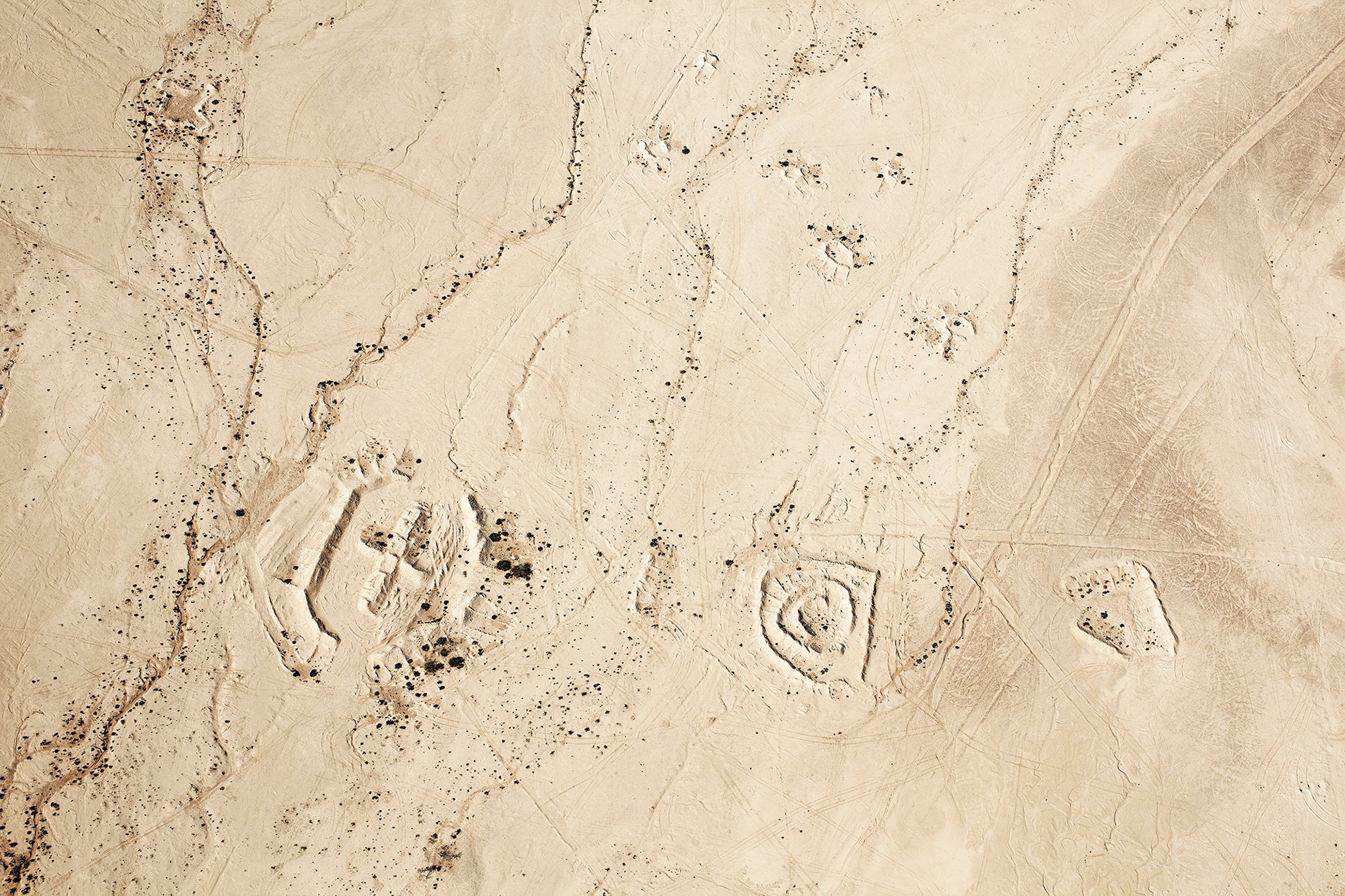 Latitude: 31° 12' 45" N / Longitude: 35° 11' 60" E, October 4, 2011, from the series Desert Bloom